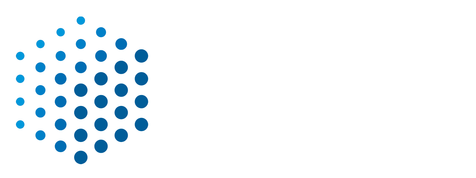 LOGO3 W.png