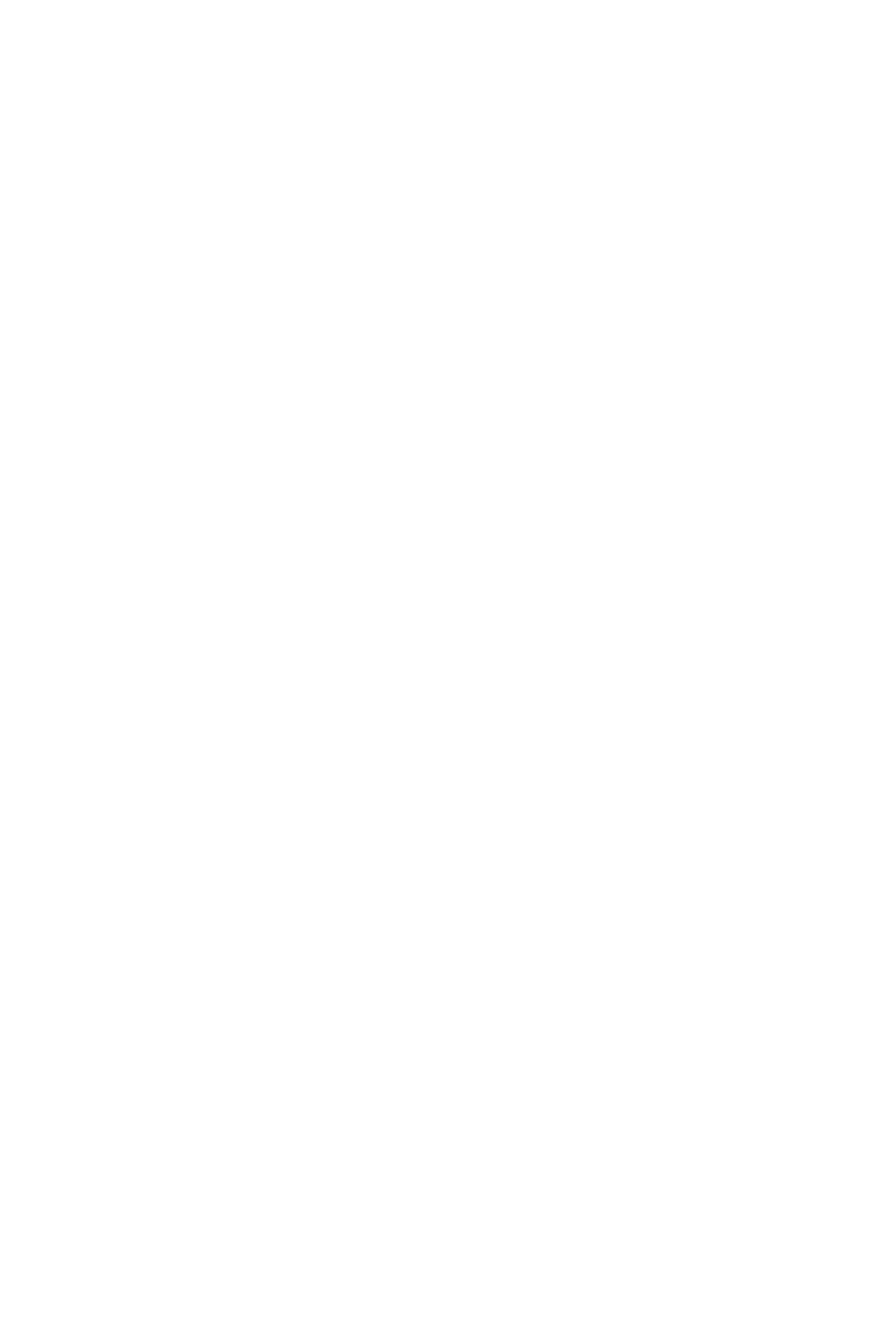 LT_Logo_ White_(вертикальное).png