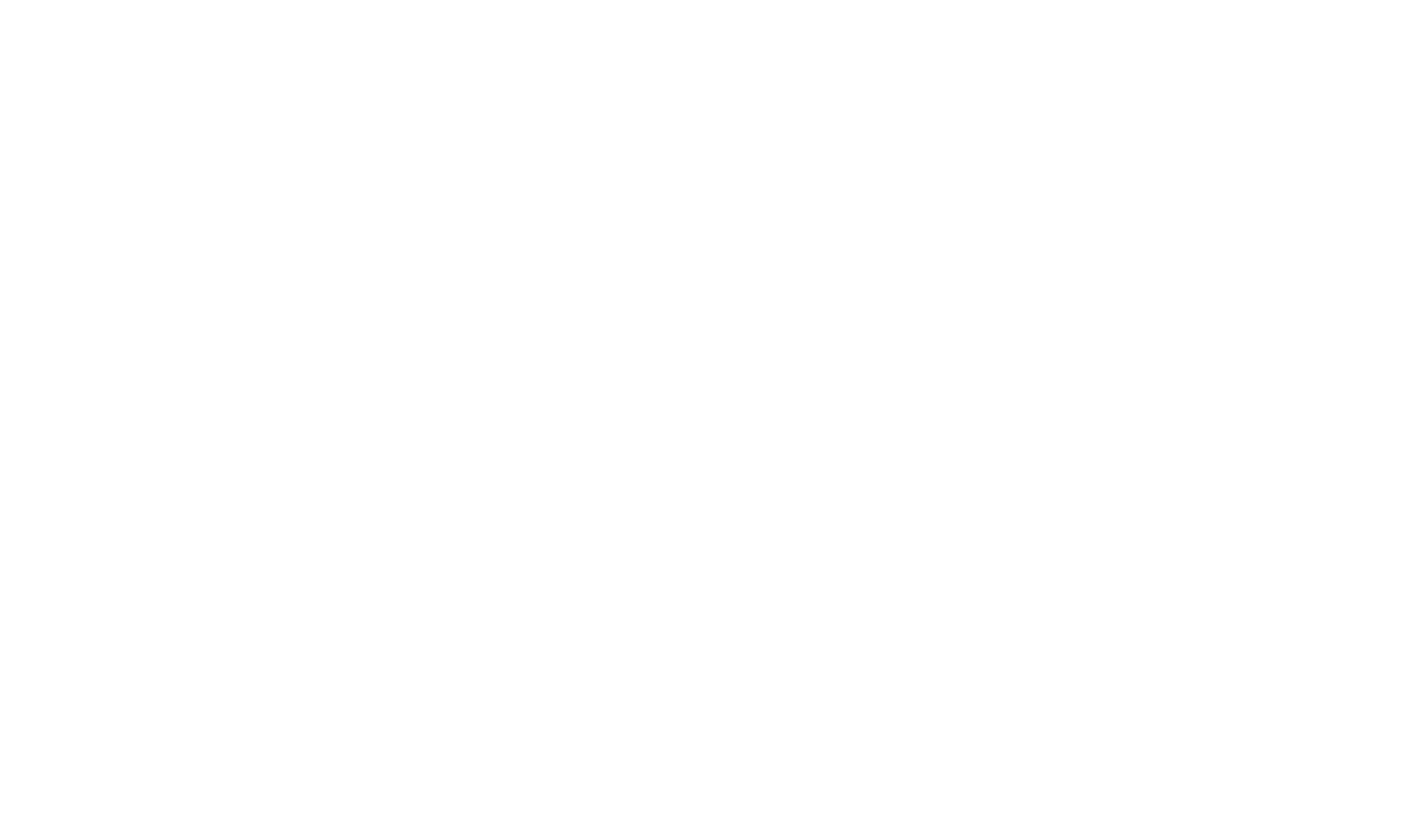 main-logo (сайт, белый).png