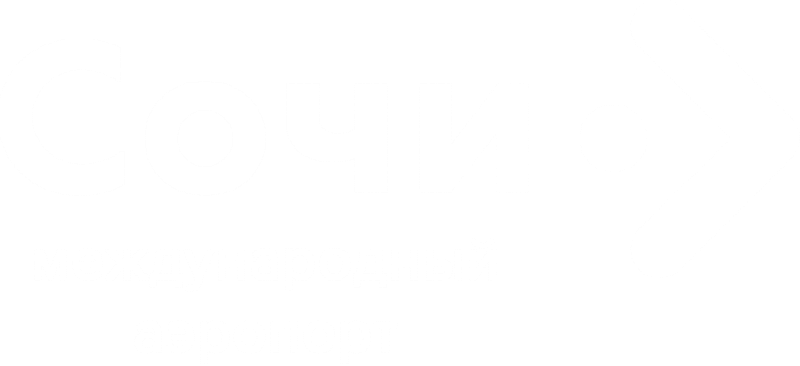 Аэропорт Сочи W.png